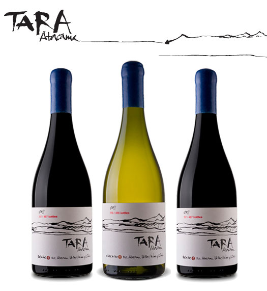 Vina Ventisquero Tara Atacama wines